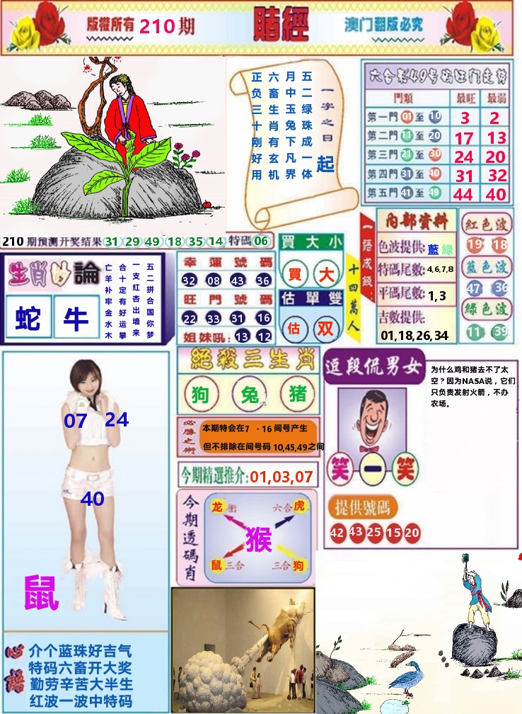 澳门赌经 第210期