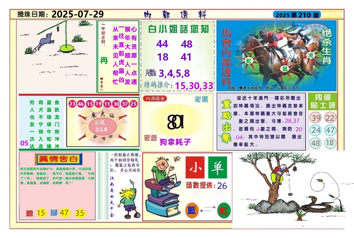 澳门内部透料A 第210期