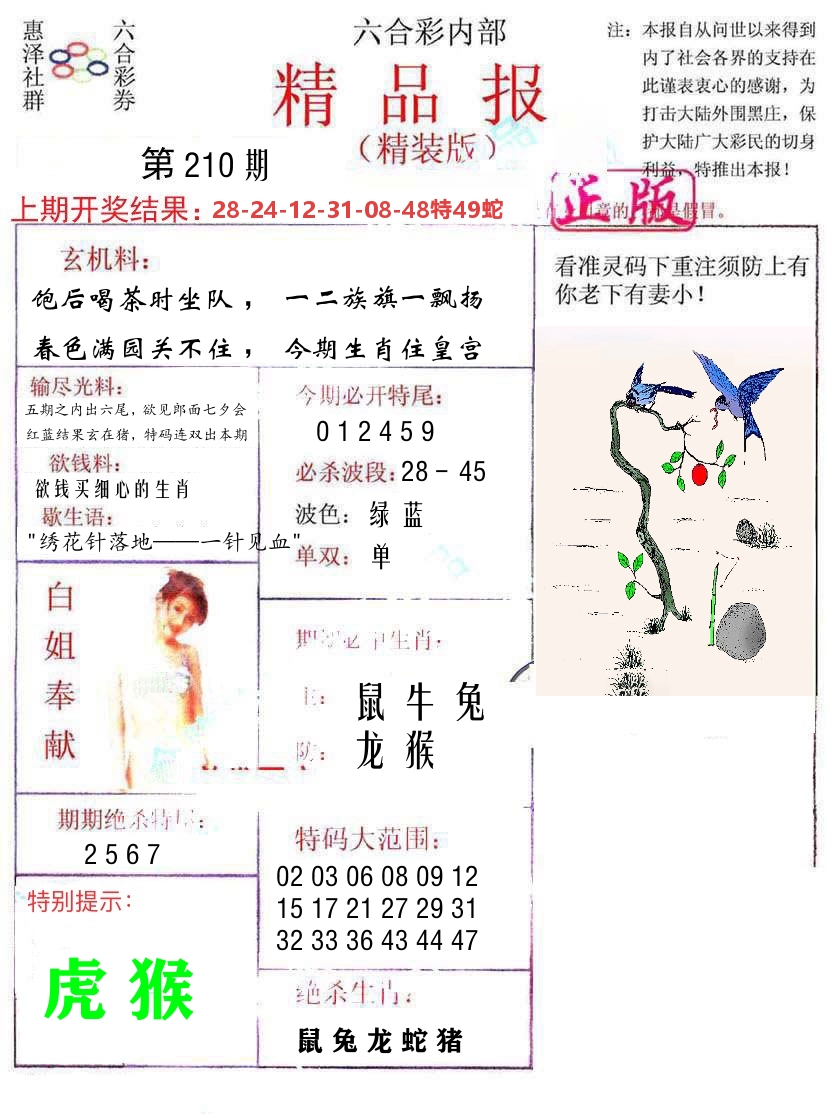 精品报 第210期