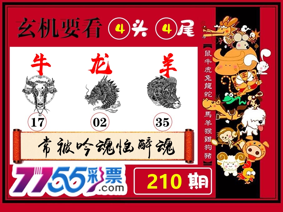 玄机要看 第210期