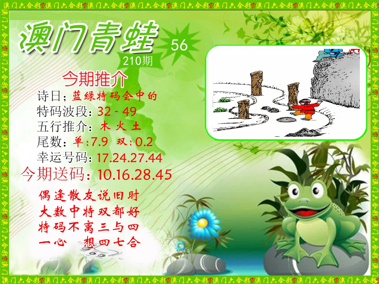 青蛙系列56 第210期