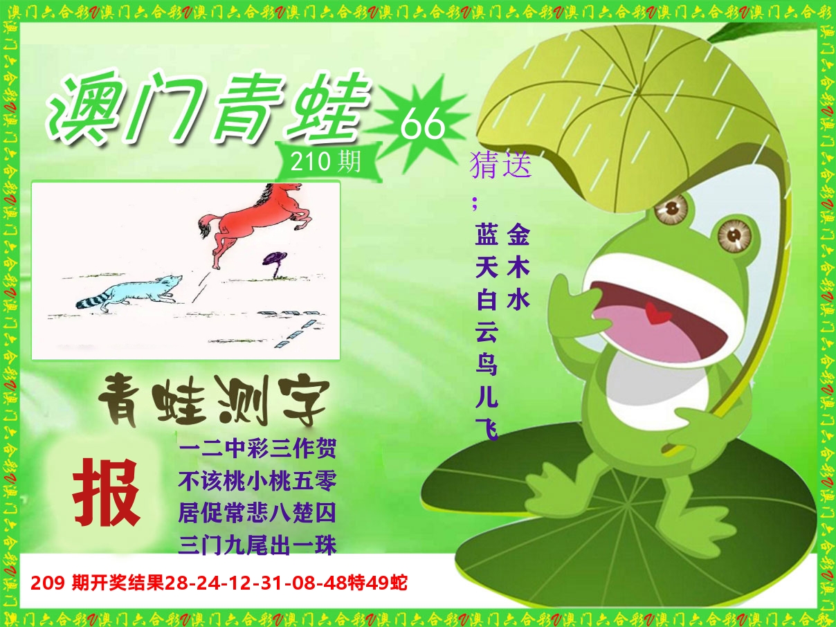 青蛙系列66 第210期