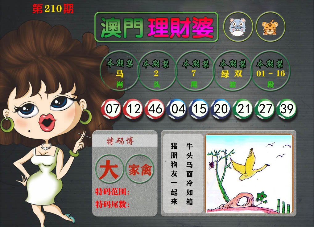 理财婆 第210期