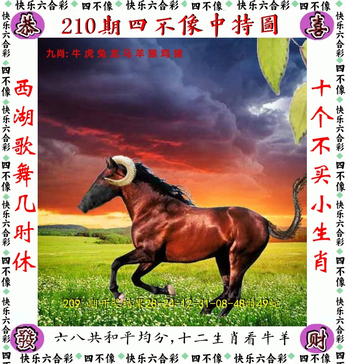 四不像 第210期