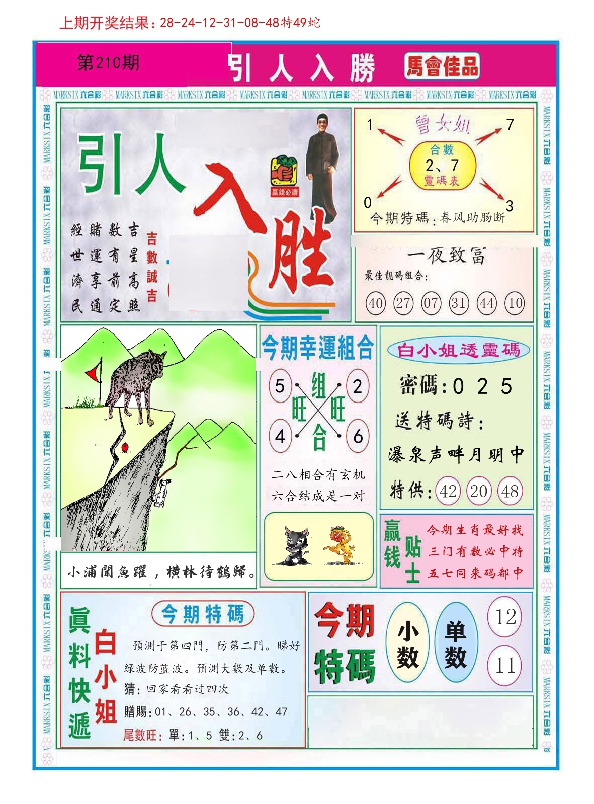 引人入胜 第210期