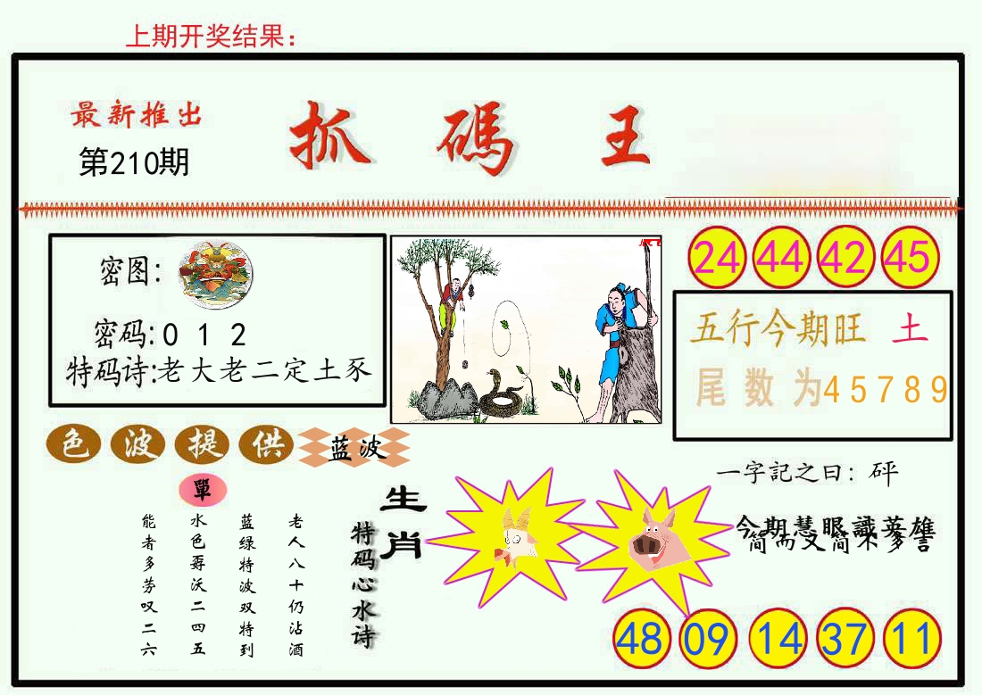 最新抓码王 第210期
