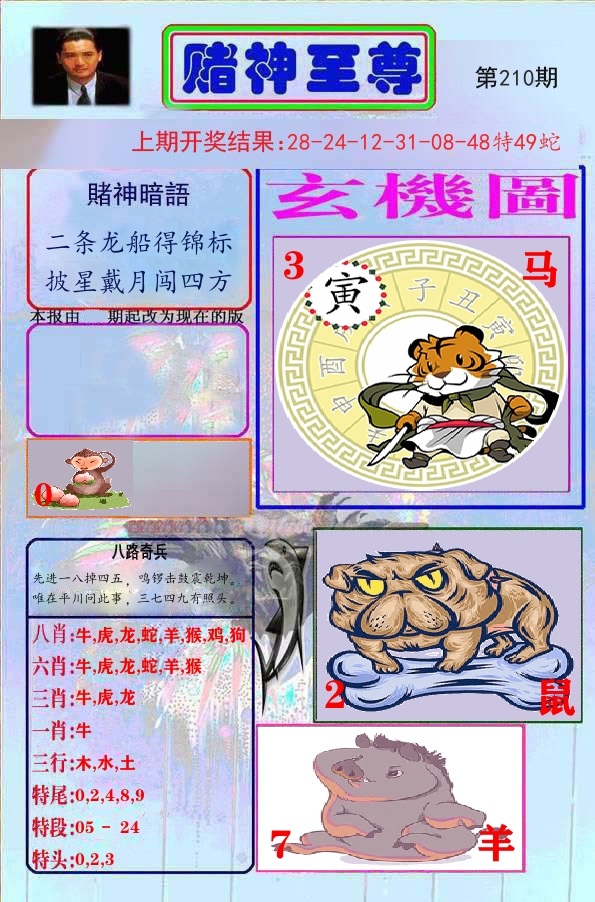 赌神至尊 第210期