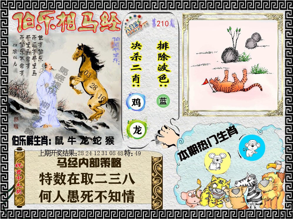 伯乐相马经 第210期