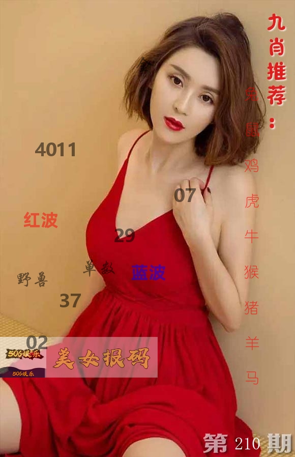 美女报码 第210期