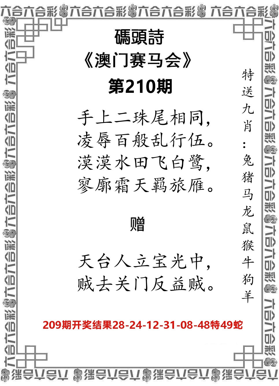 码头诗 第210期
