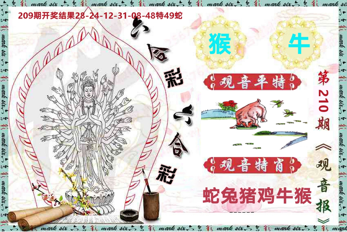 观音报 第210期