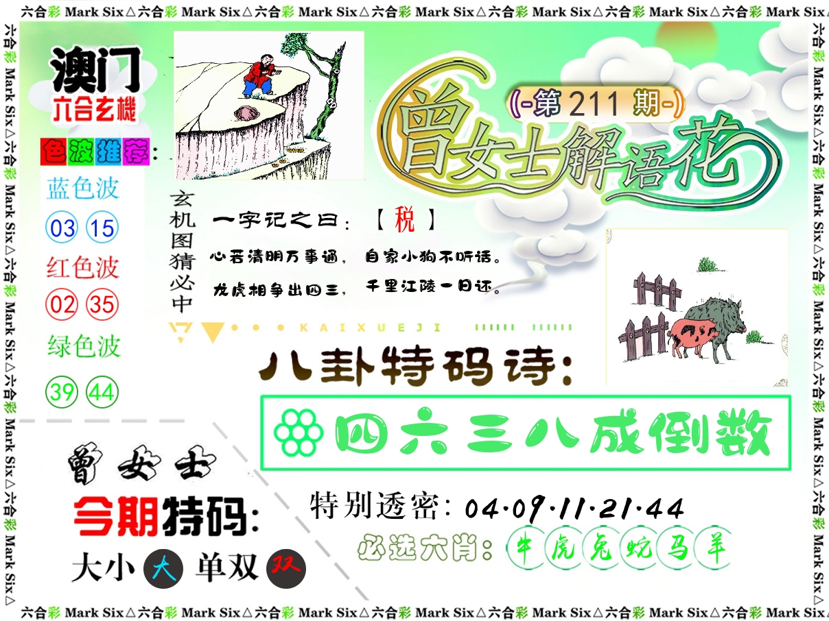 曾女士解语花 第211期