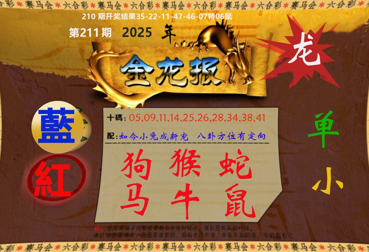 金龙报 第211期