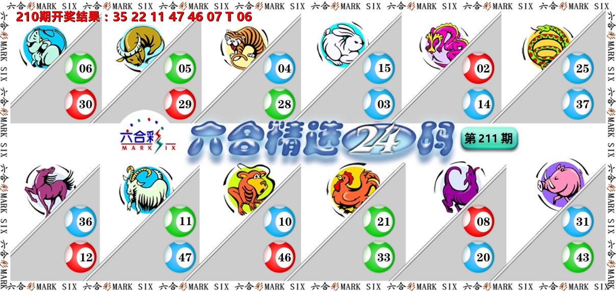 六合精选24码 第211期