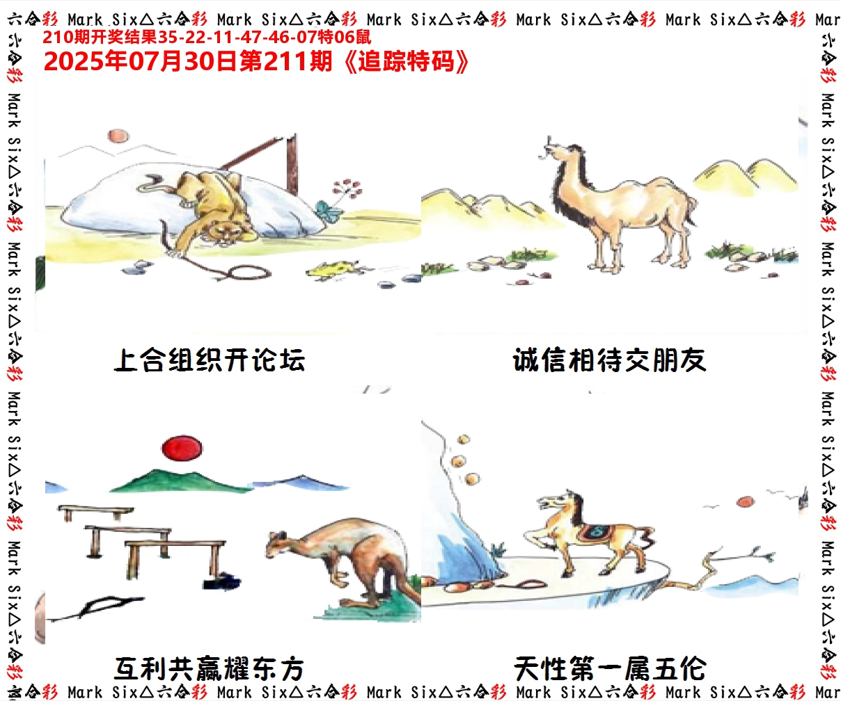追踪特码 第211期