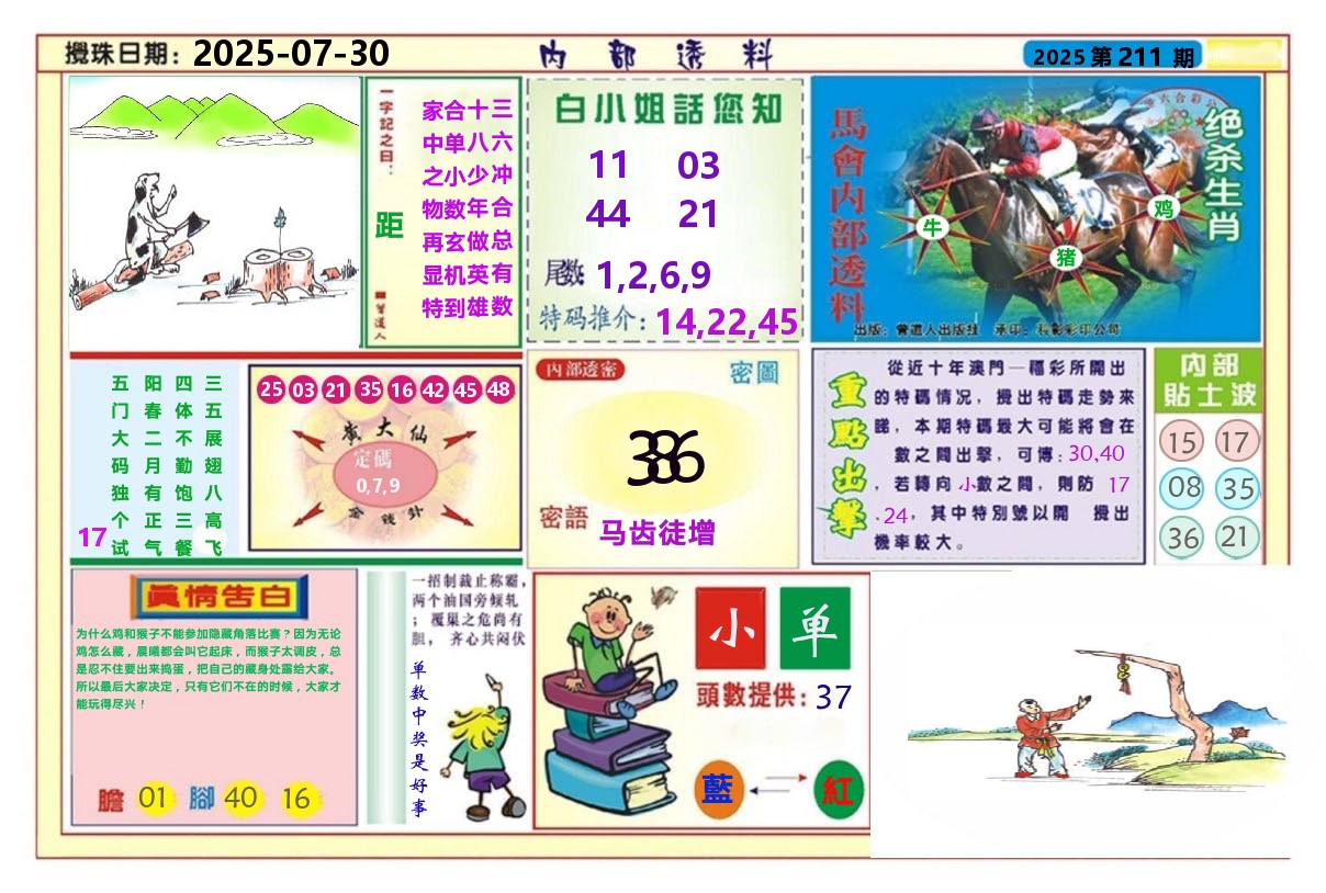 澳门内部透料A 第211期