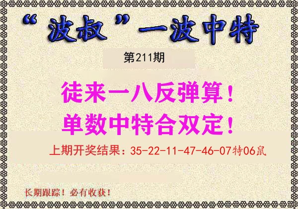 波叔中特 第211期