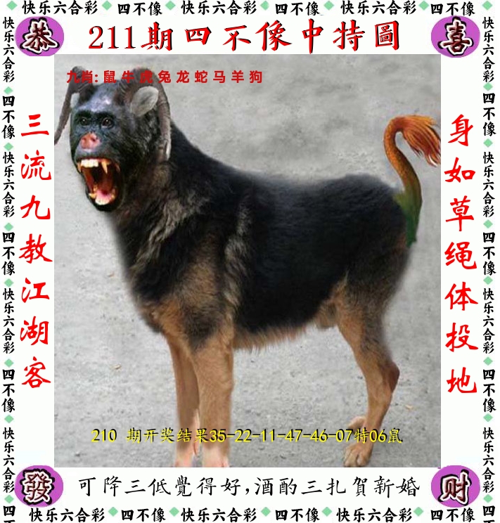四不像 第211期
