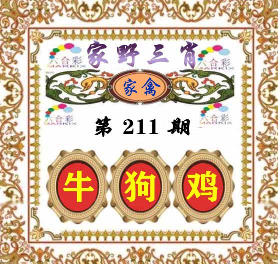 家野三肖 第211期