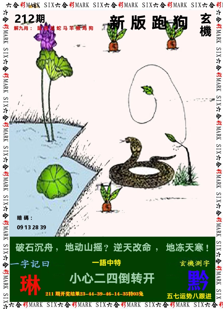 悟入其图 第212期
