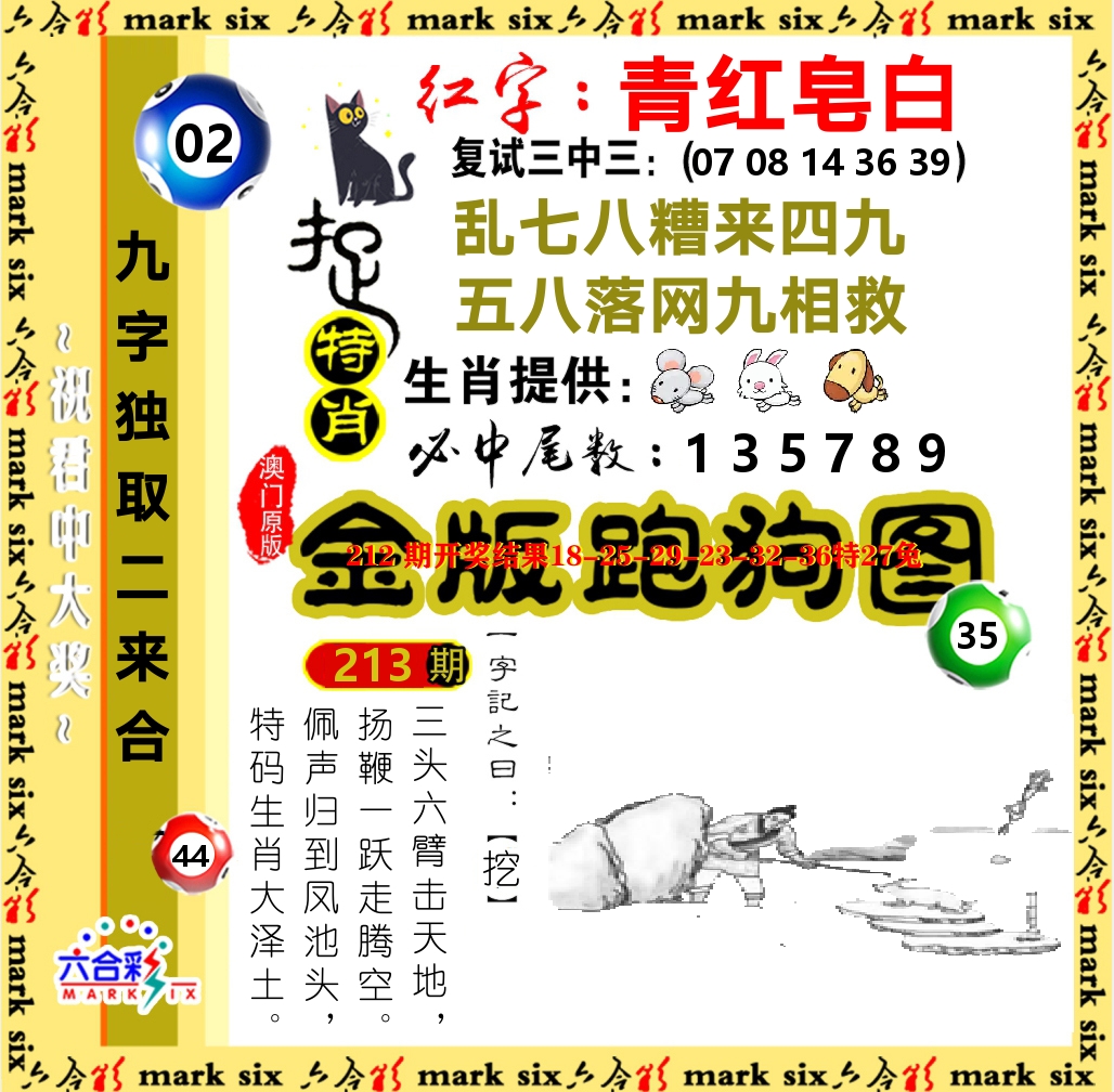 金版跑狗图 第213期