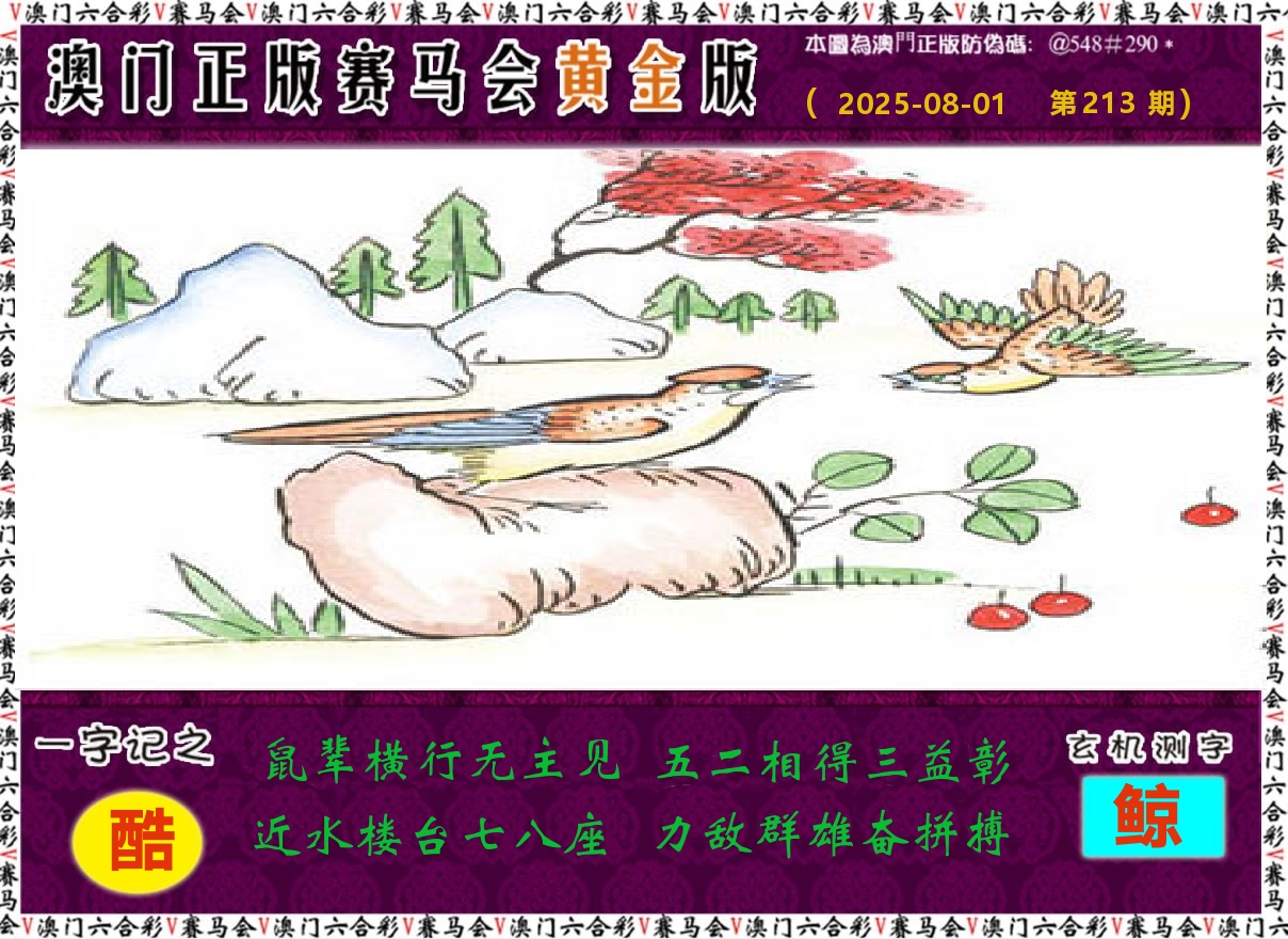 赛马会黄金版 第213期