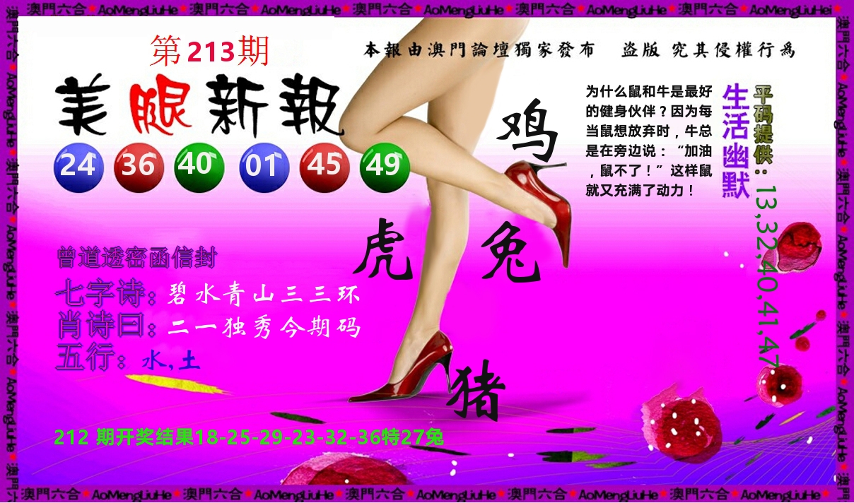 美腿新报 第213期