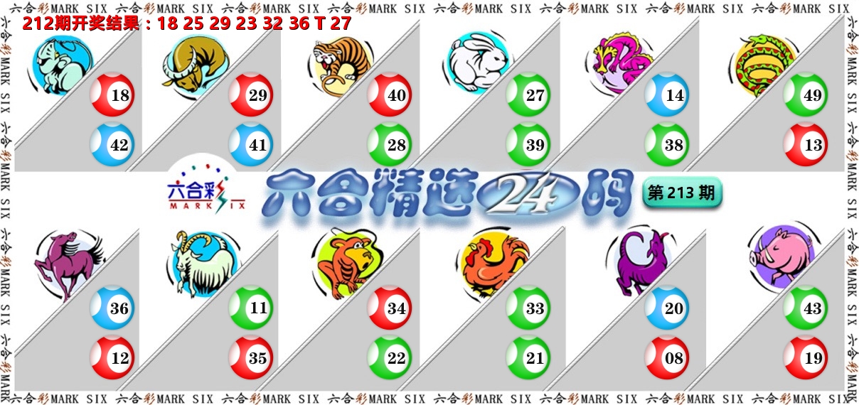 六合精选24码 第213期