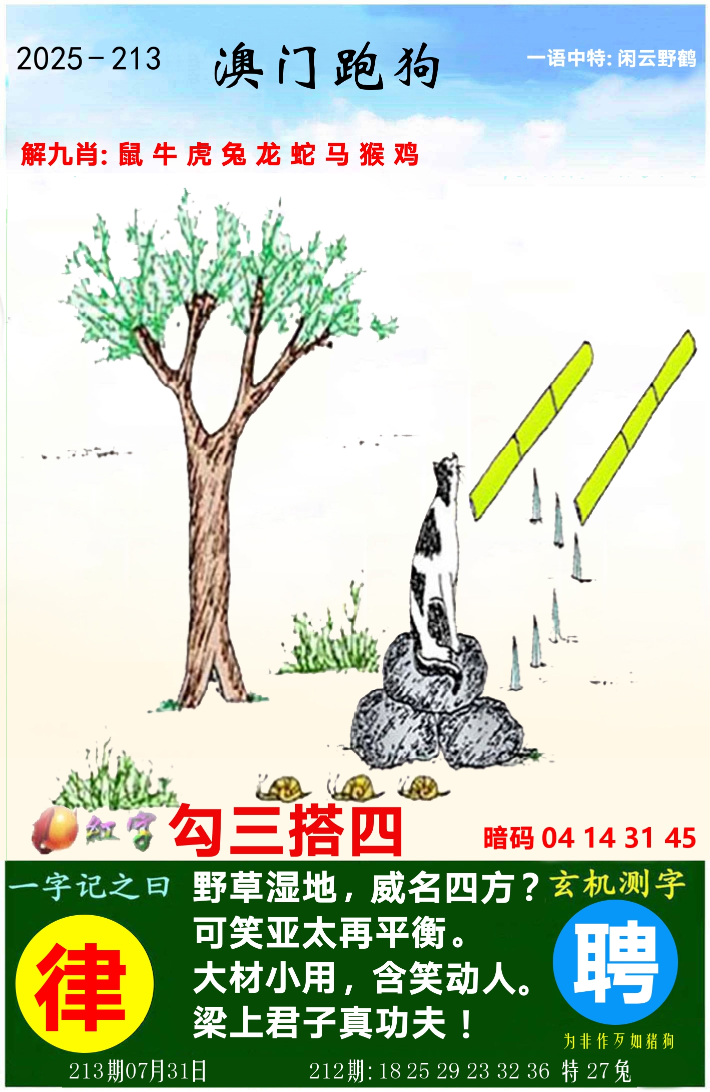 澳门跑狗图 第213期