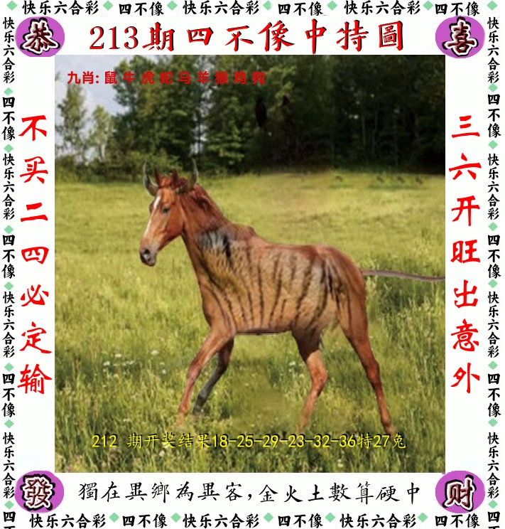 四不像 第213期