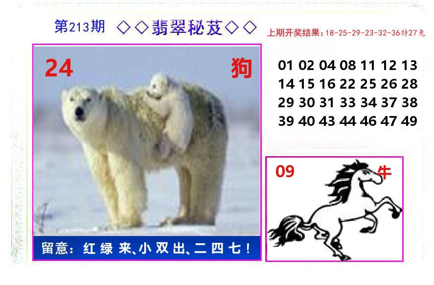 翡翠秘芨 第213期