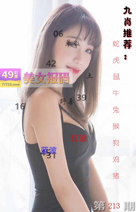 美女报码 第213期