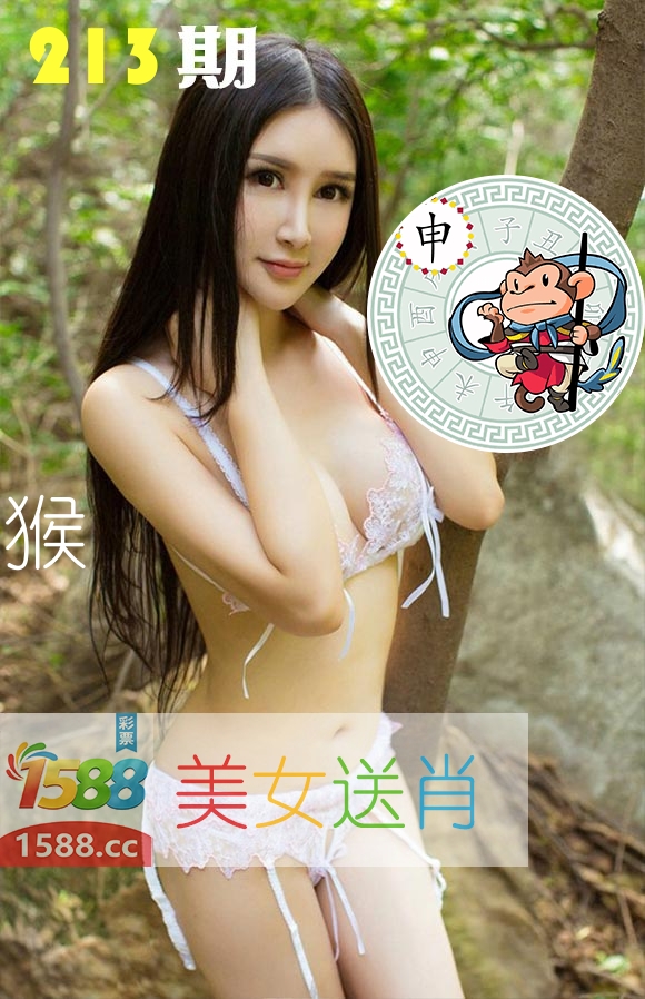 美女送肖 第213期