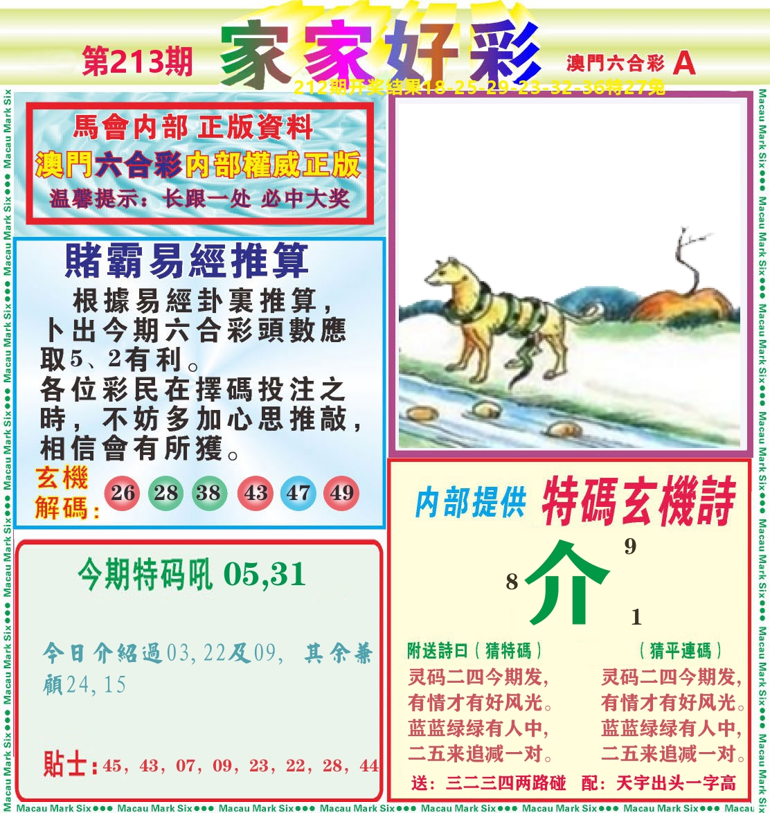 家家好彩A 第213期