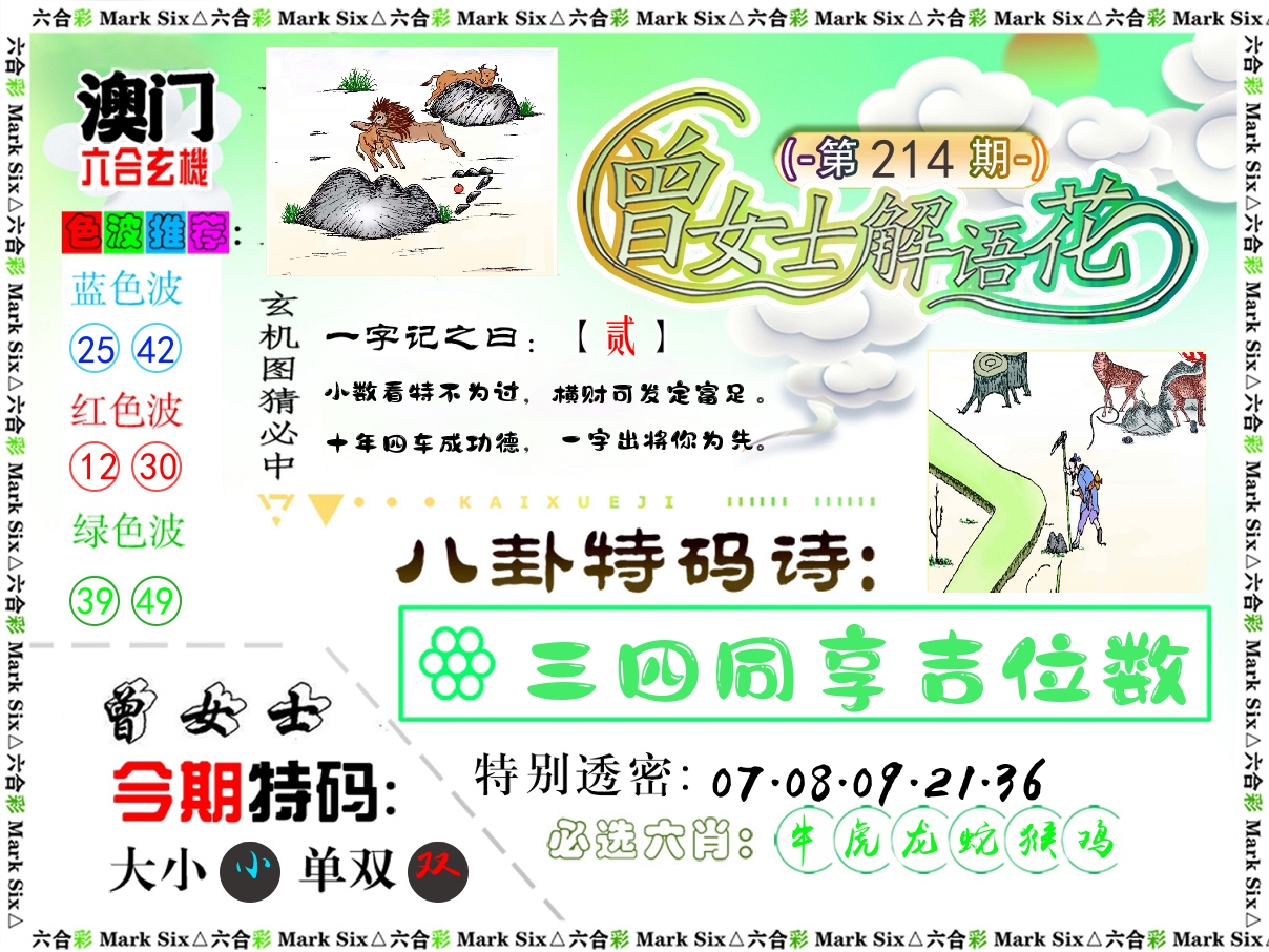 曾女士解语花 第214期