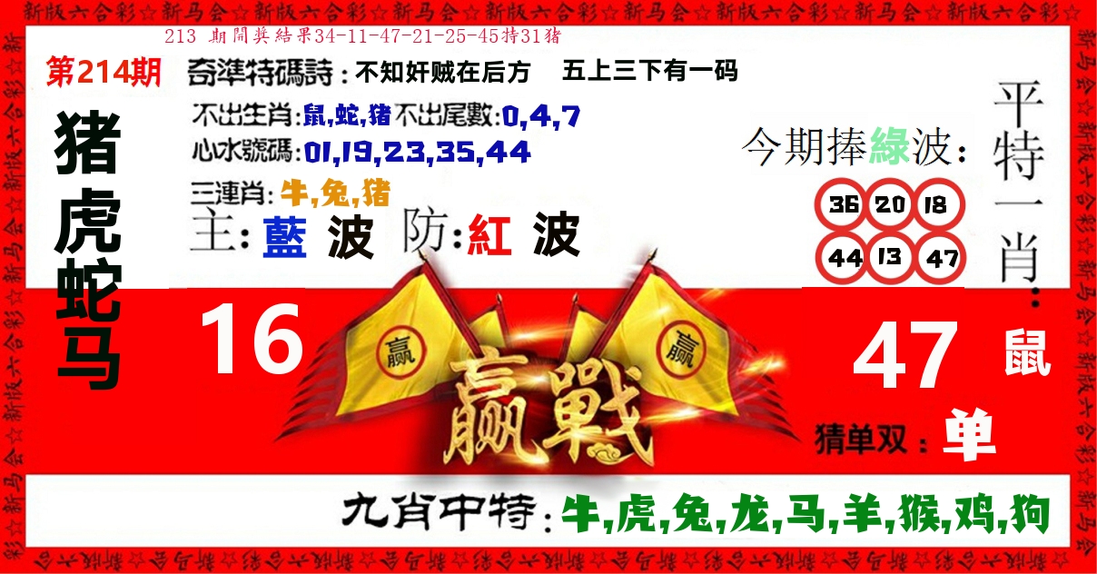 赢站 第214期