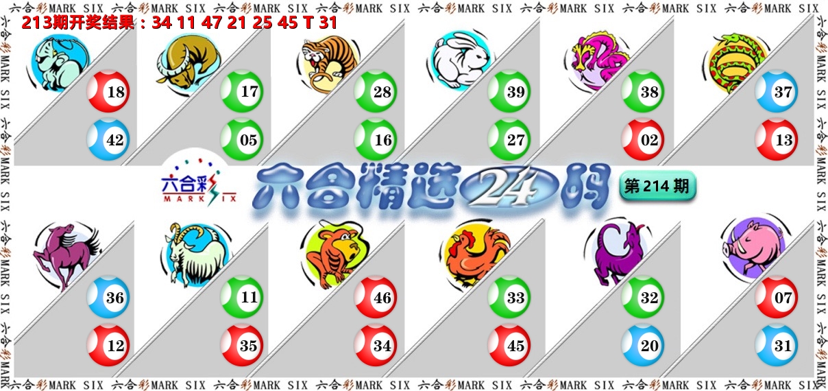 六合精选24码 第214期