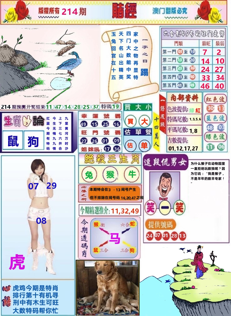 澳门赌经 第214期