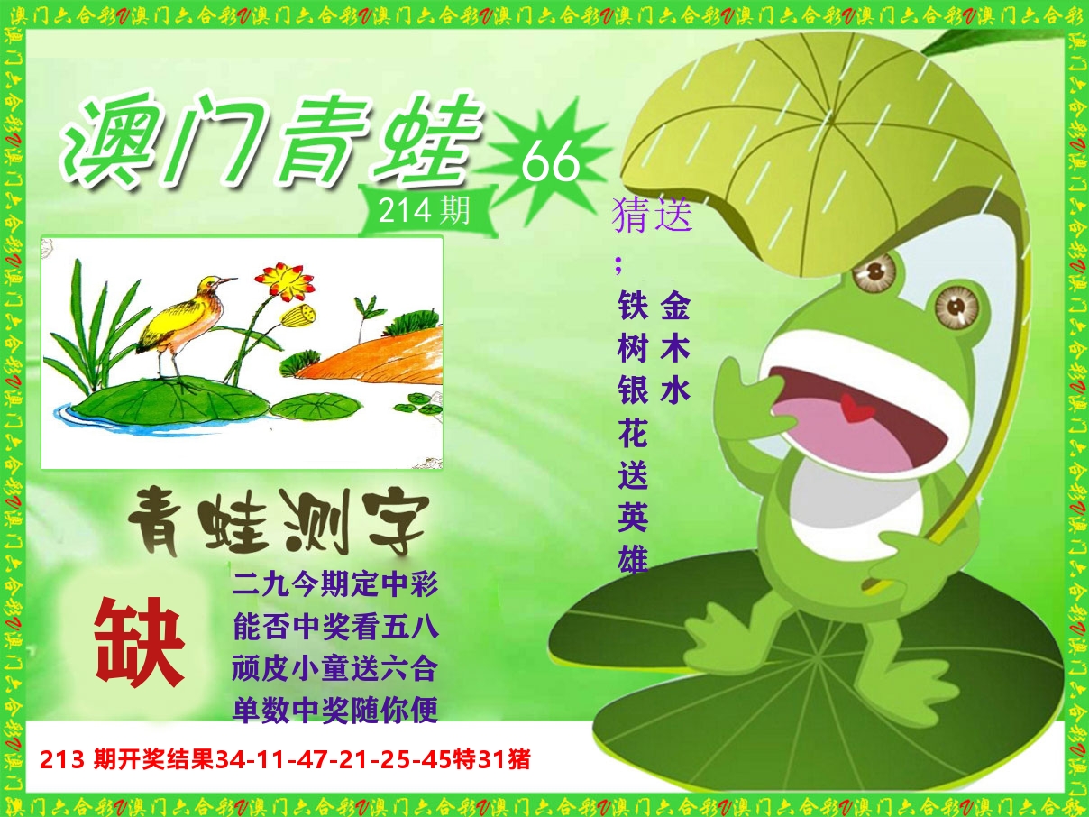青蛙系列66 第214期