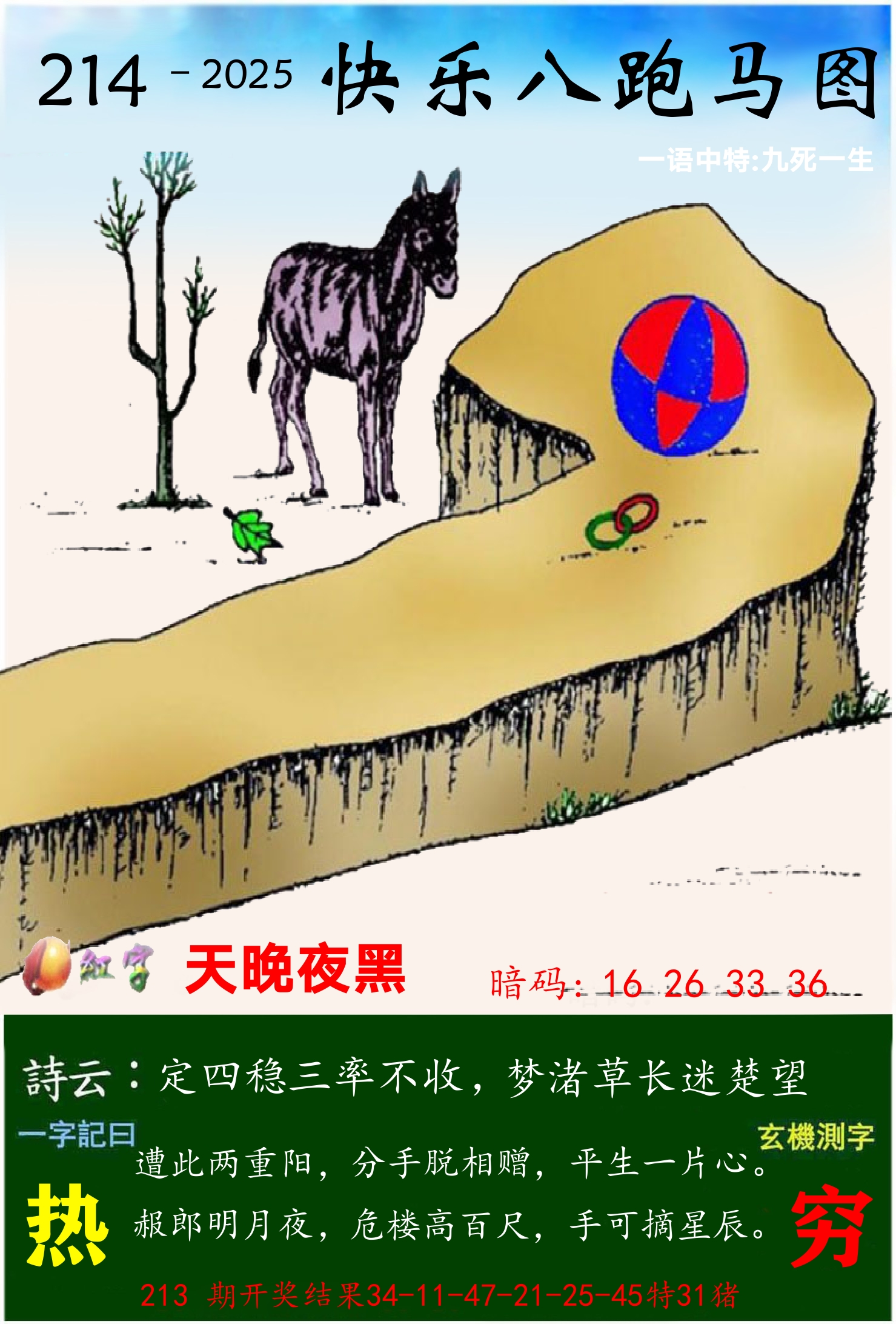 澳门跑马 第214期