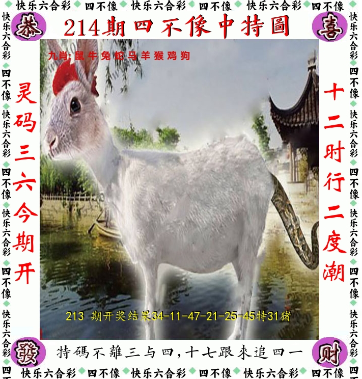 四不像 第214期