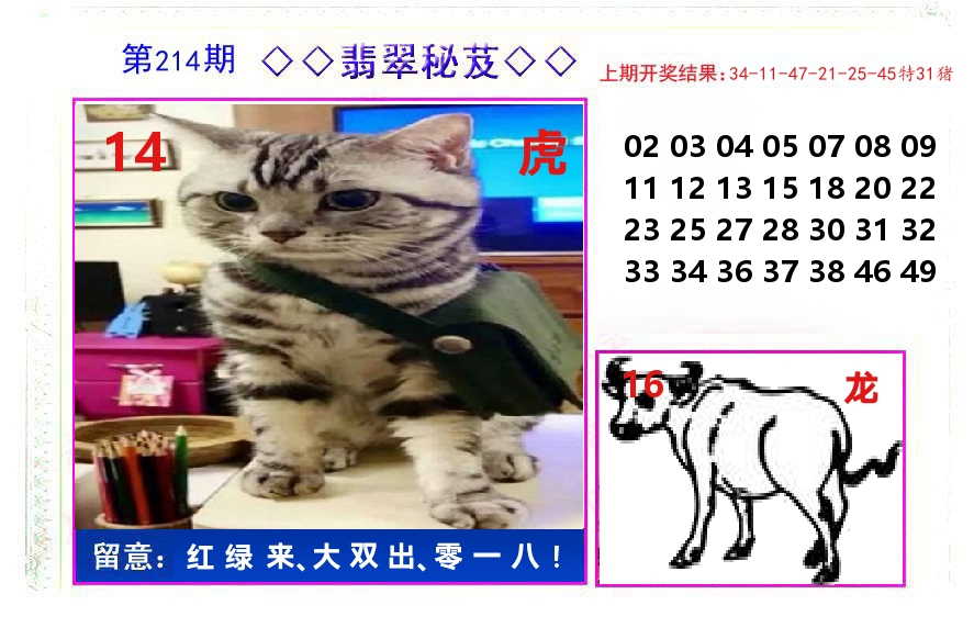 翡翠秘芨 第214期
