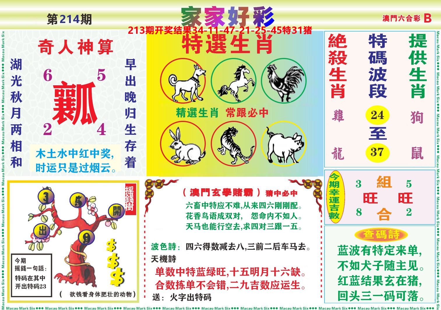 家家好彩B 第214期