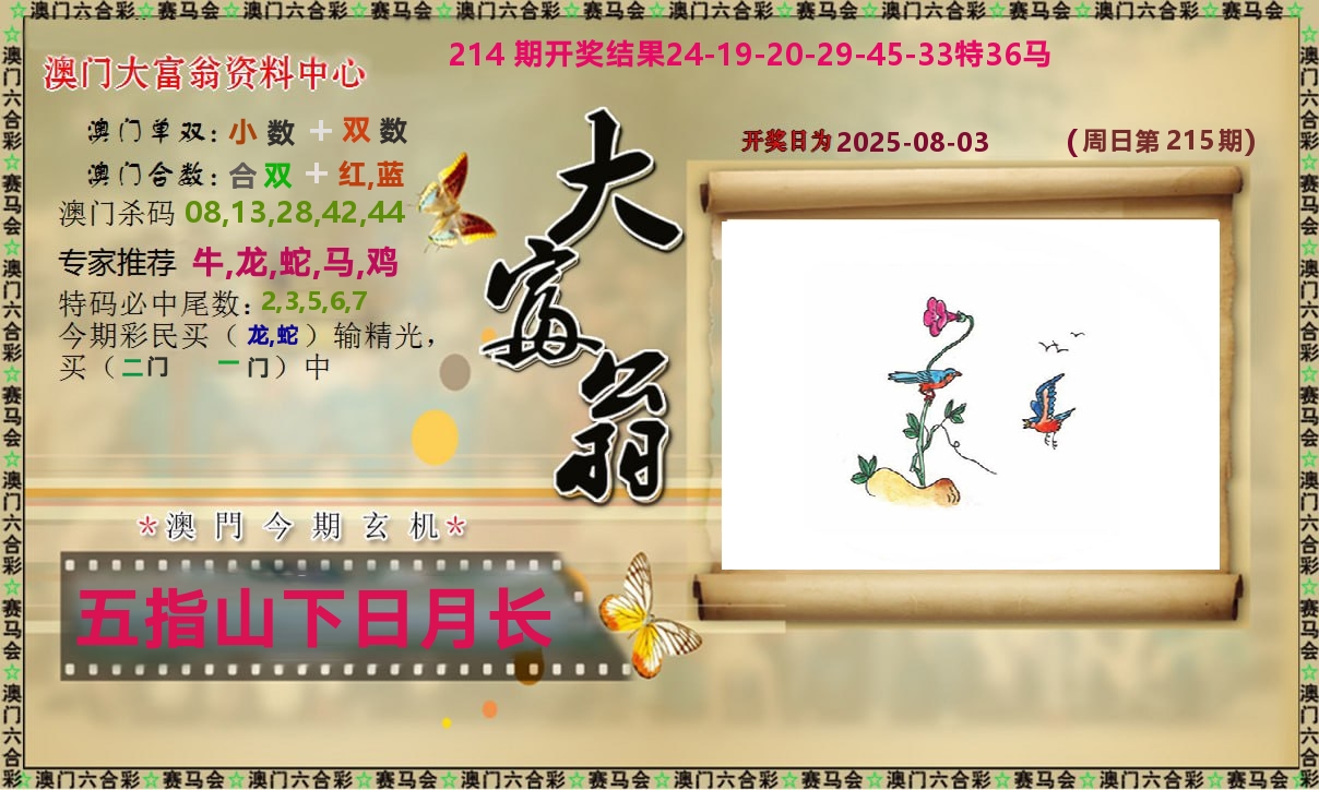 新大富翁 第215期