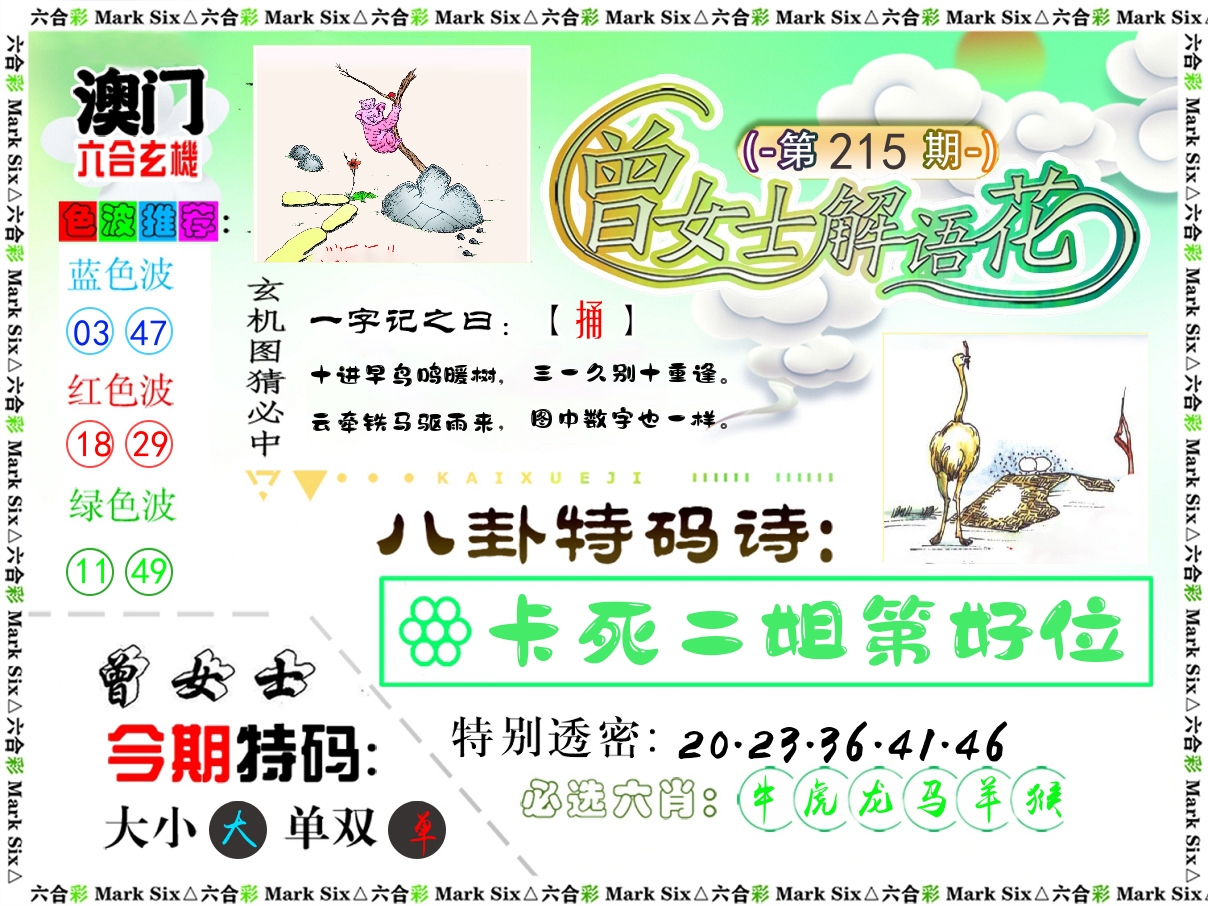 曾女士解语花 第215期