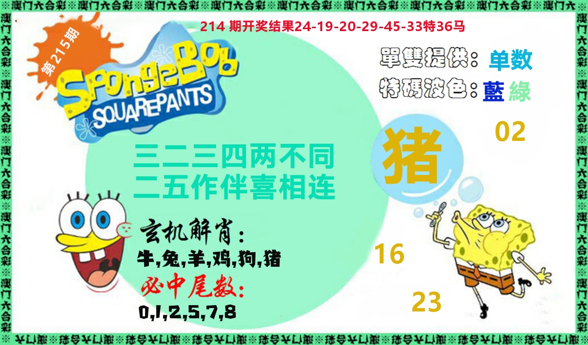 新特码玄机 第215期