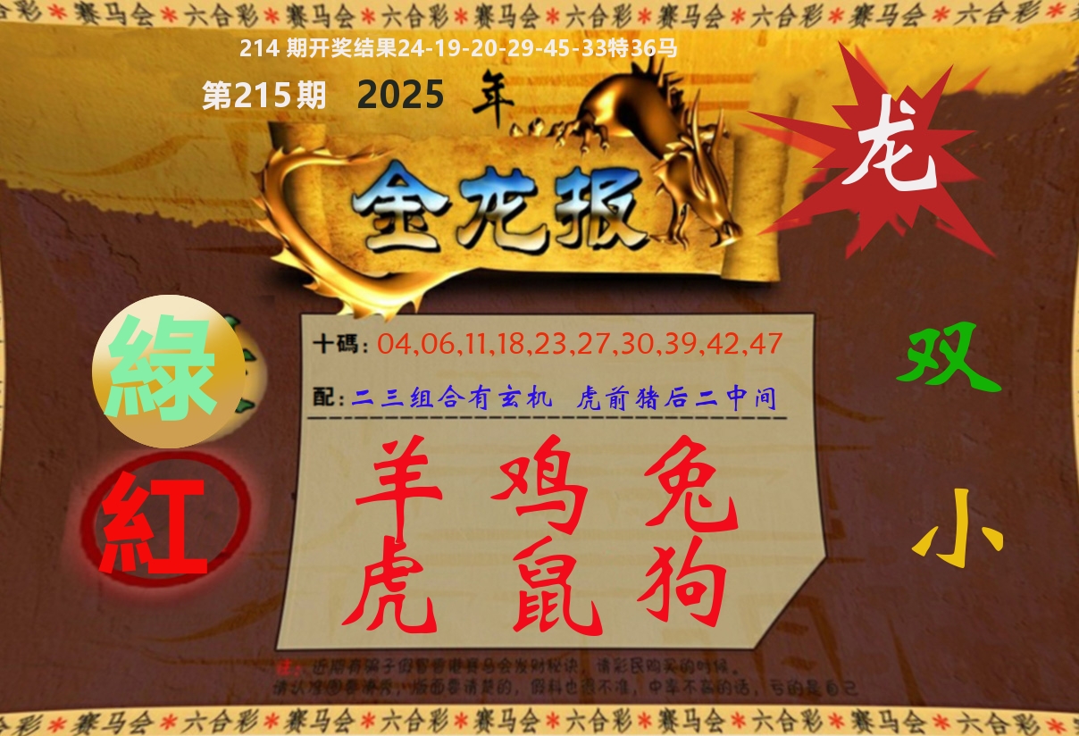 金龙报 第215期