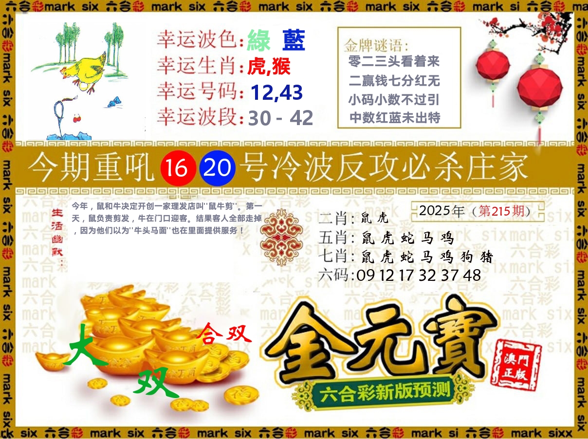 金元宝 第215期