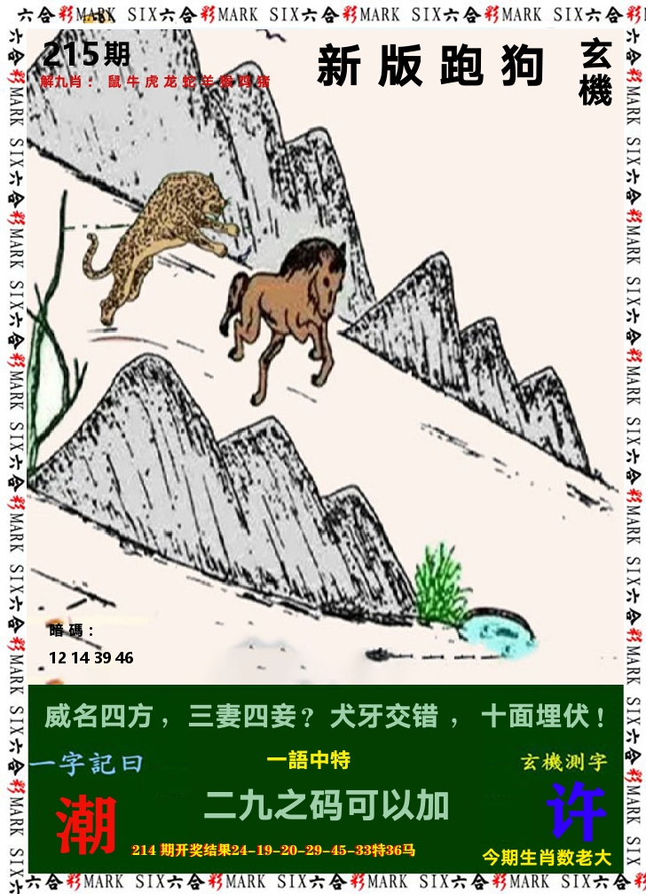 悟入其图 第215期