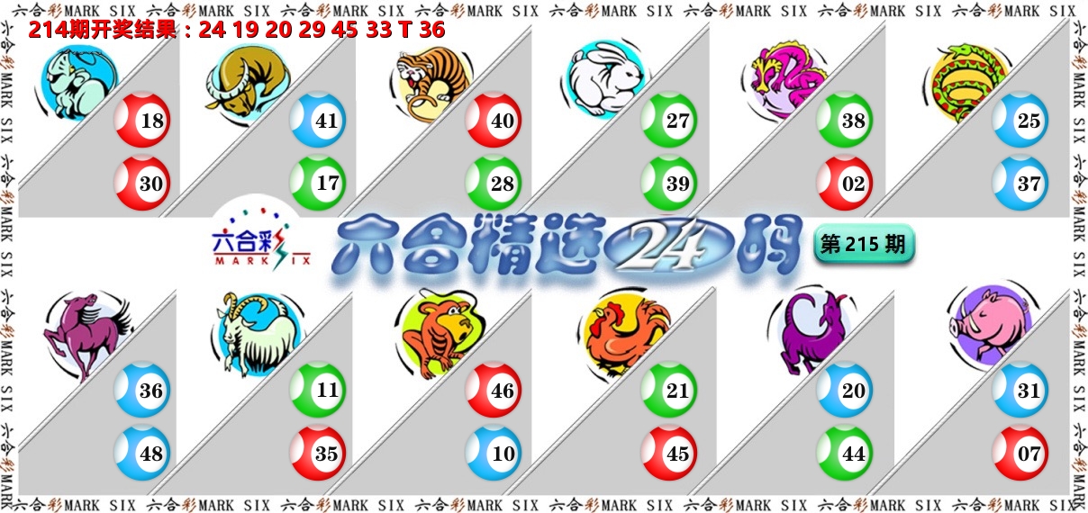 六合精选24码 第215期